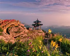 开元中国-关于山东泰山训练开放日；关键时刻战术微调引欢呼；社区盾在即；团队化学反应显著的信息