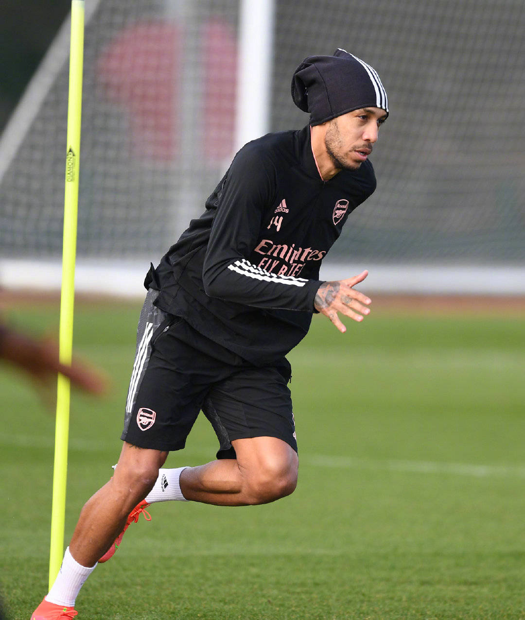 关于太狠了！纳达尔关键时刻大胜冲刺阶段上海海港再遭质疑，本菲卡调整名单备战国王杯的信息